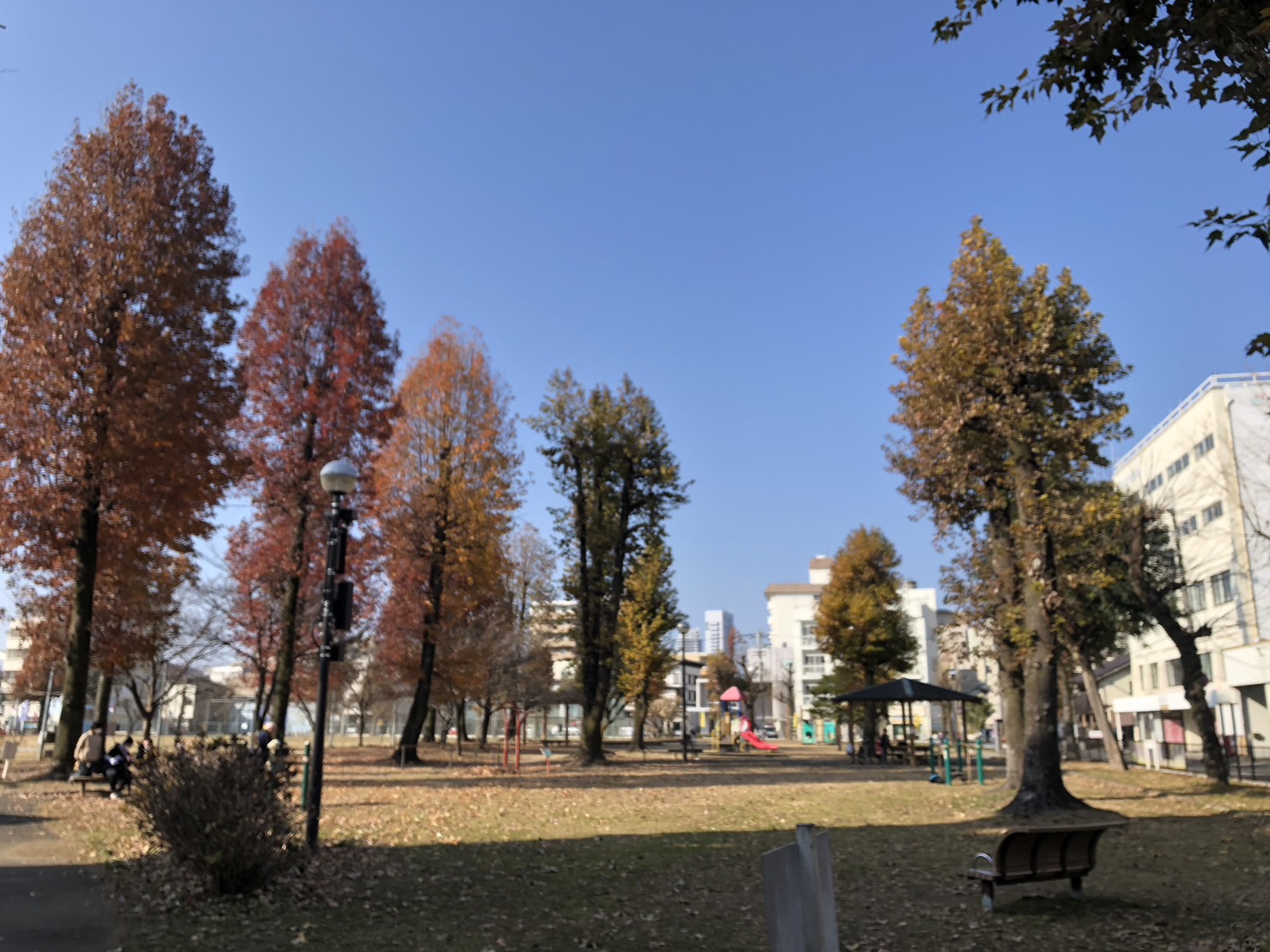 青柳公園 デジタル町一丁目|― LINEを活用した「まちづくりプラットフォーム」 デジ町