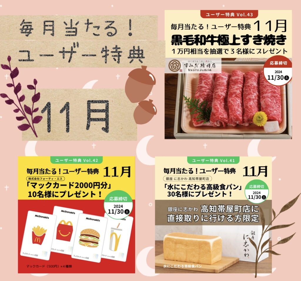 【今月はお肉！】毎月当たる！ユーザー特典　11月