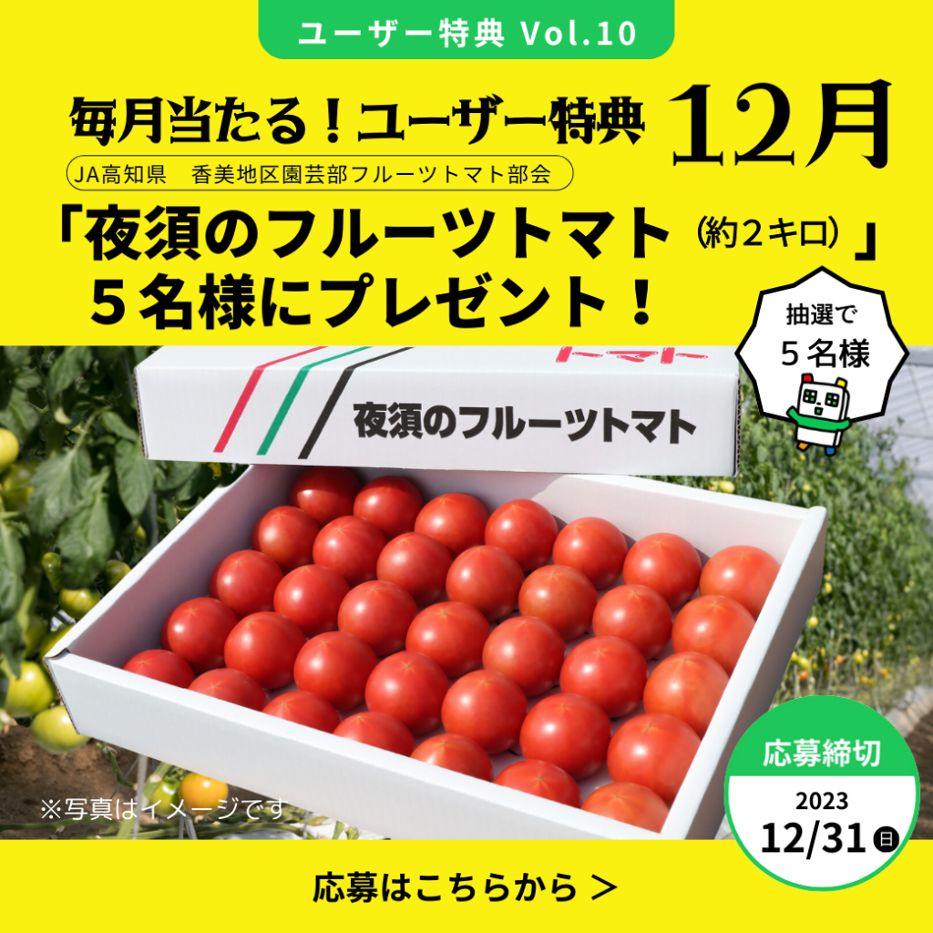 vol.10 夜須のフルーツトマト（２キロ）５名様のプレゼント