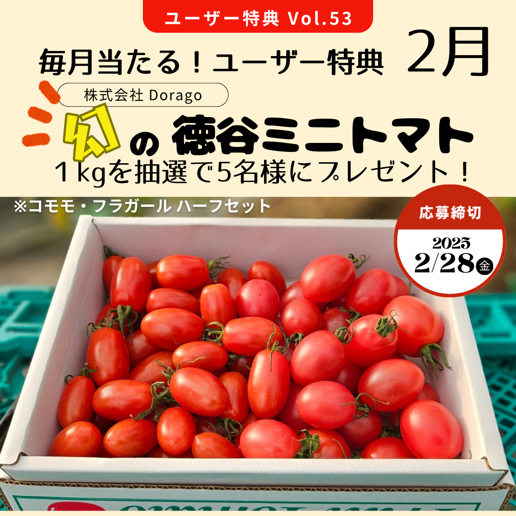 vol.53【徳谷ミニトマト 1kg】抽選で5名様にプレゼント！